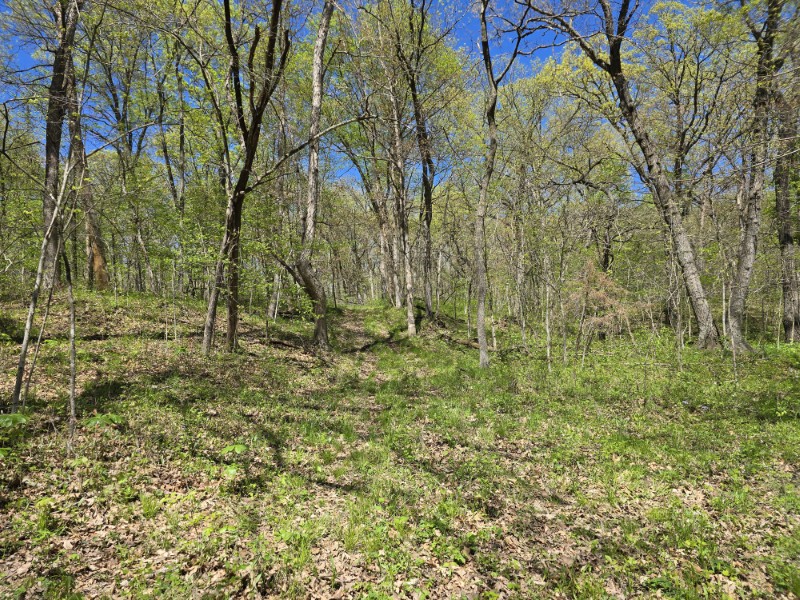 Listing photo 32